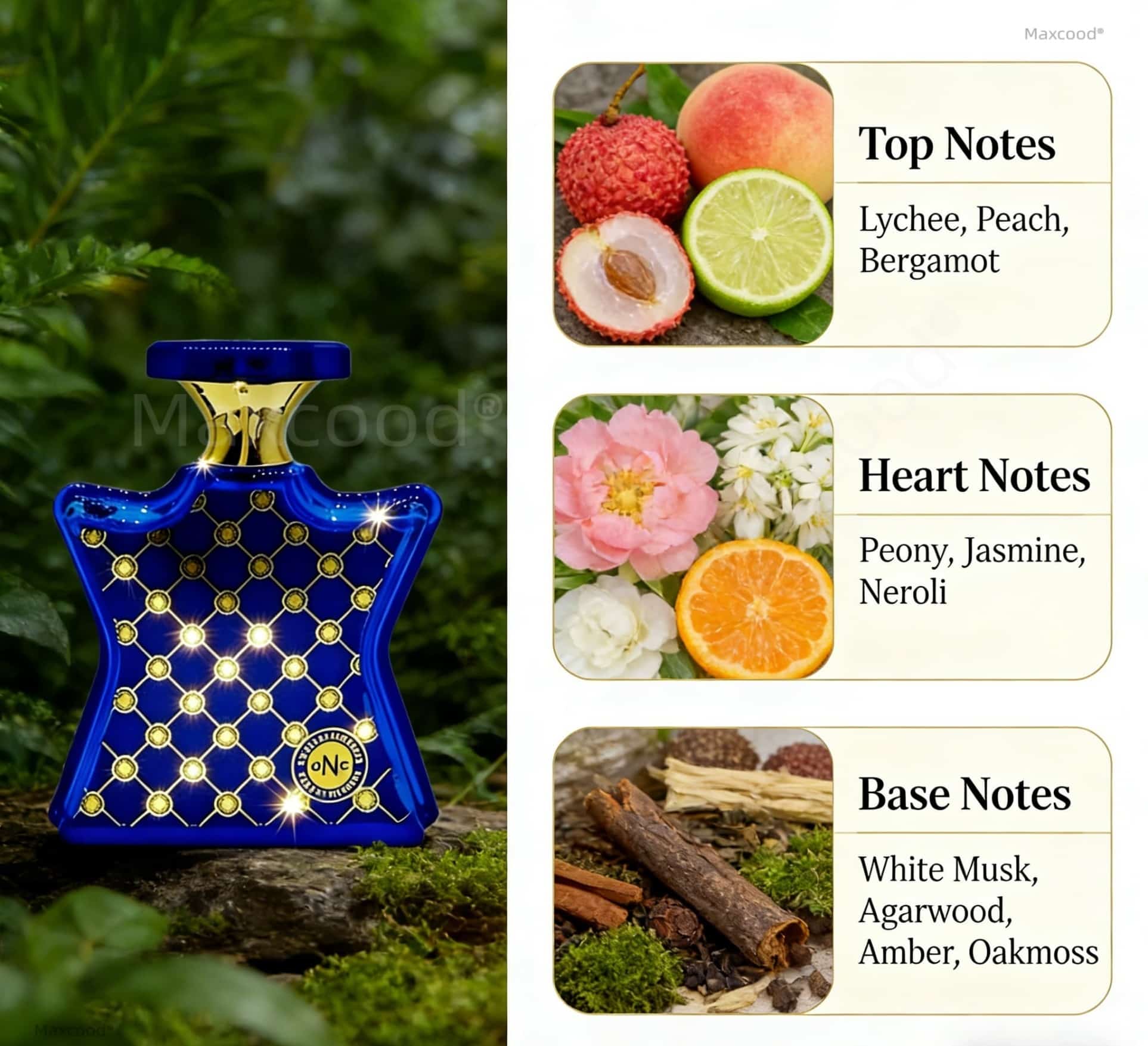 柑橘系とフローラル系の香水 長持ちする香り 日常使いに最適  - Perfume High Fragrance のレビューと価格